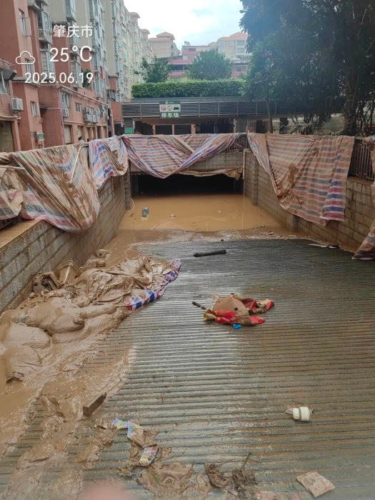 3f1754ac88dc46cc9b650686775f375a