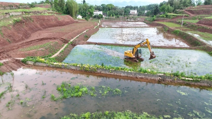 3cbe81dfbbc74291be4f27ef588d95d5