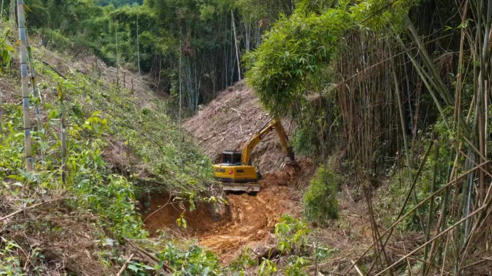 林间“藏龙”，竹海“卧虎”——J9集团林业挖机广西侠客行
